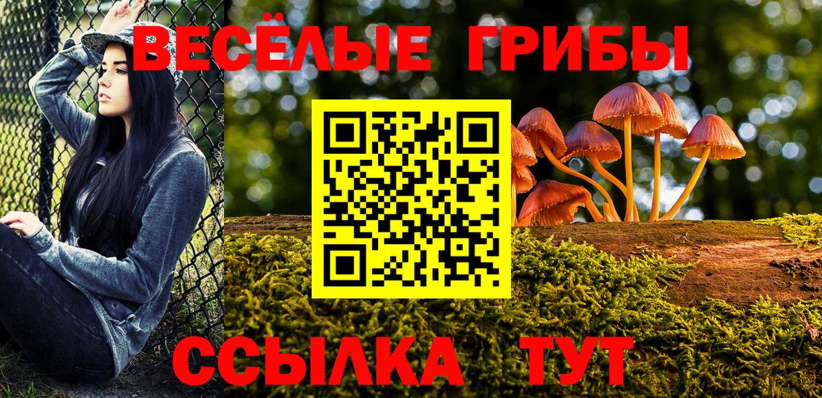 Псилоцибиновые грибы Magic Shrooms Калач-на-Дону