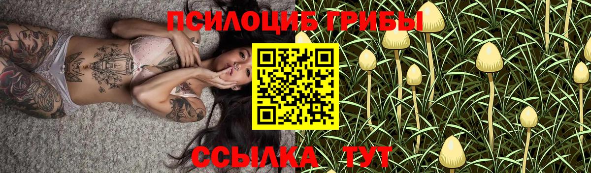 Калач-на-Дону  Галлюциногенные грибы мухоморы  Псилоцибиновые грибы MAGIC MUSHROOMS  Вход с VPN 